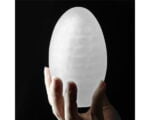 Мастурбатор - Giant Egg Masturbator Blue(LV TOY670) - Зображення 2